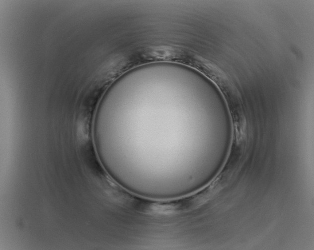 X0000116840606200912241230