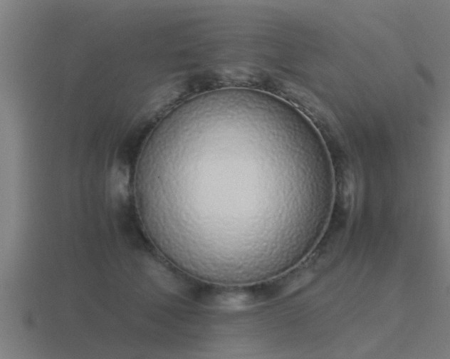 X0000116840610200912241230