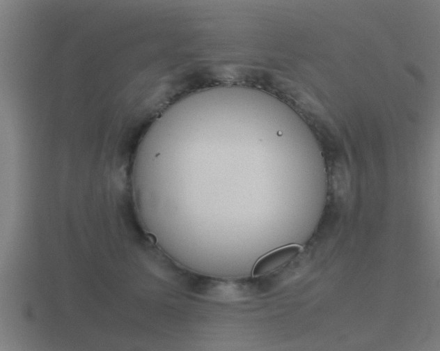 X0000116840611200912241230