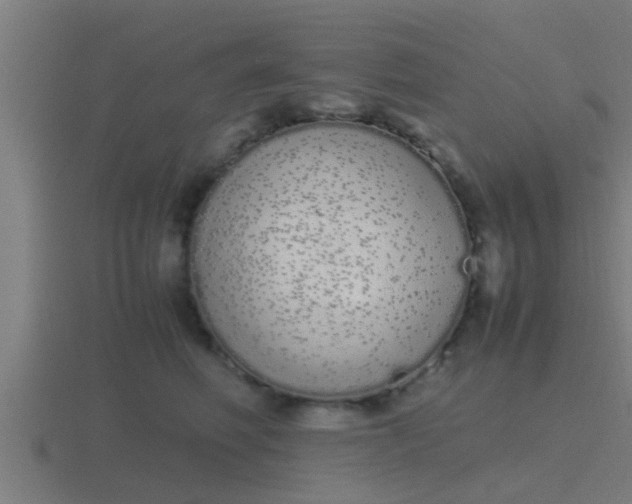 X0000116840614200912241230