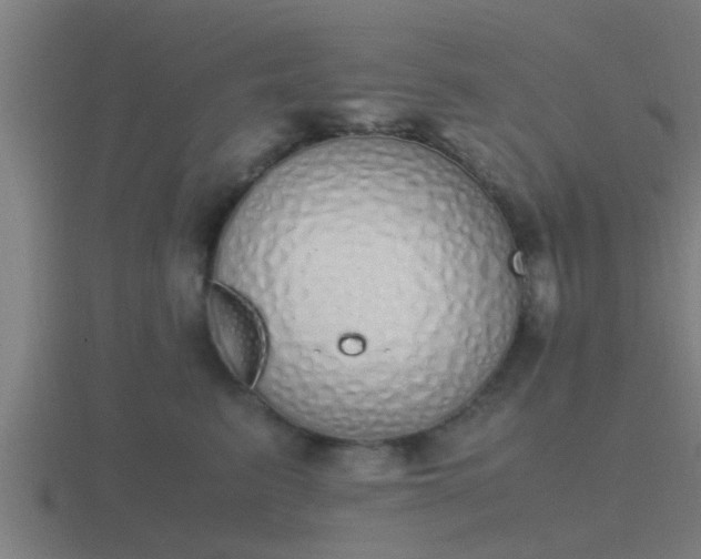 X0000116840615200912241230