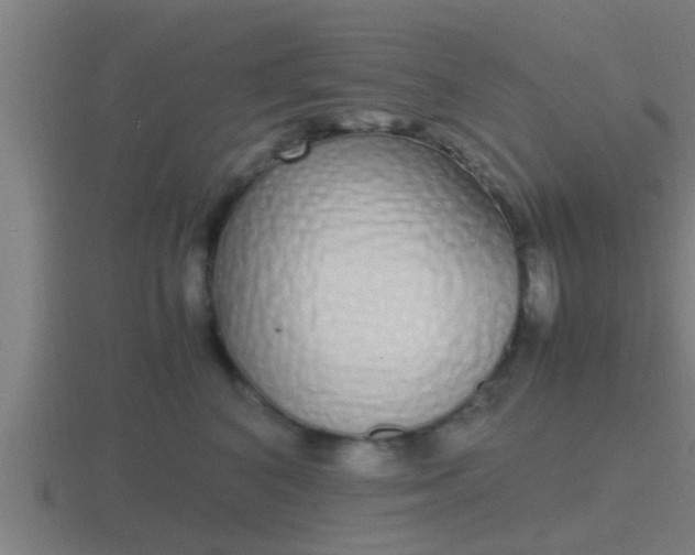 X0000116840616200912241230