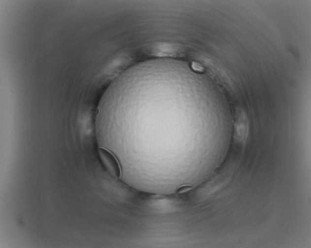 X0000116840620200912241229