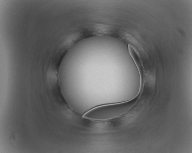 X0000116840621200912241229