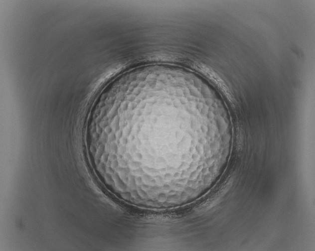 X0000116840625200912241229