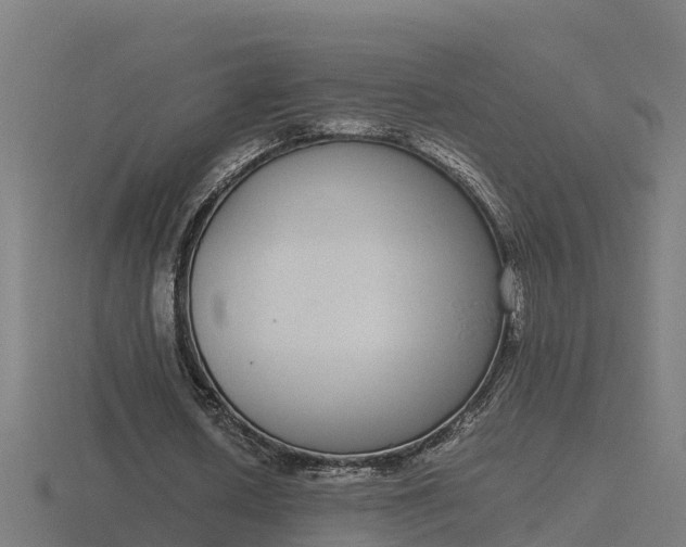 X0000116840626200912241229