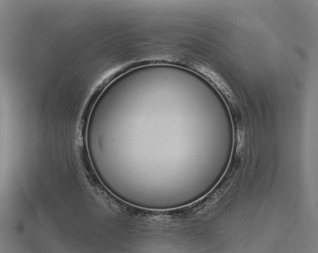 X0000116840628200912241229