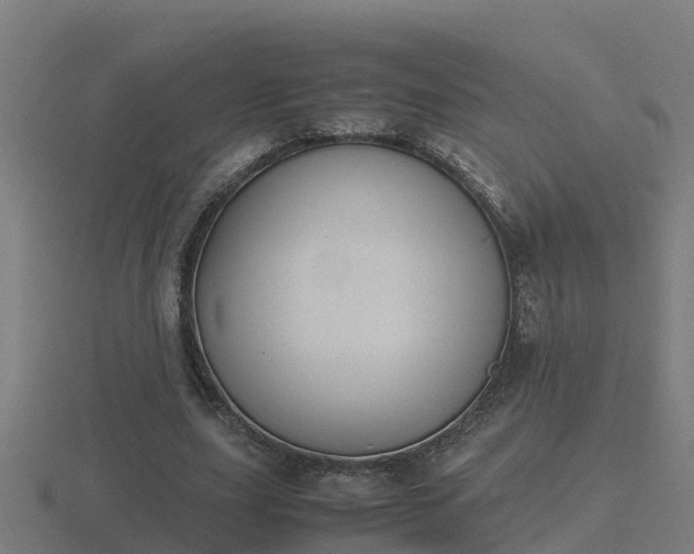 X0000116840631200912241229