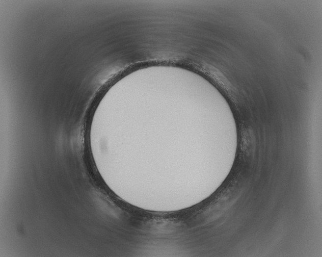 X0000116840632200912241229