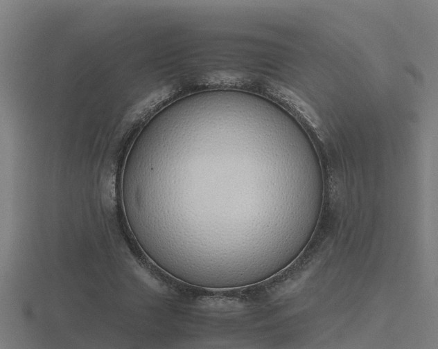 X0000116840633200912241229