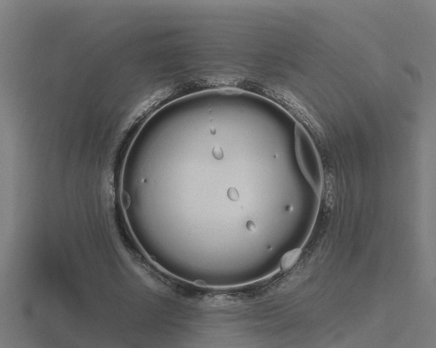 X0000116840634200912241229