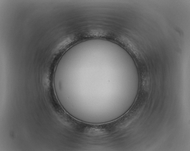 X0000116840635200912241229