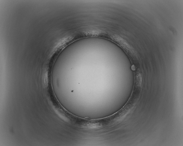 X0000116840638200912241229