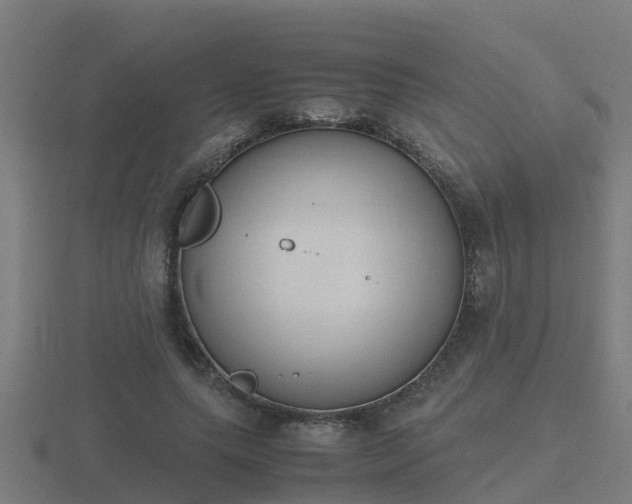 X0000116840639200912241229