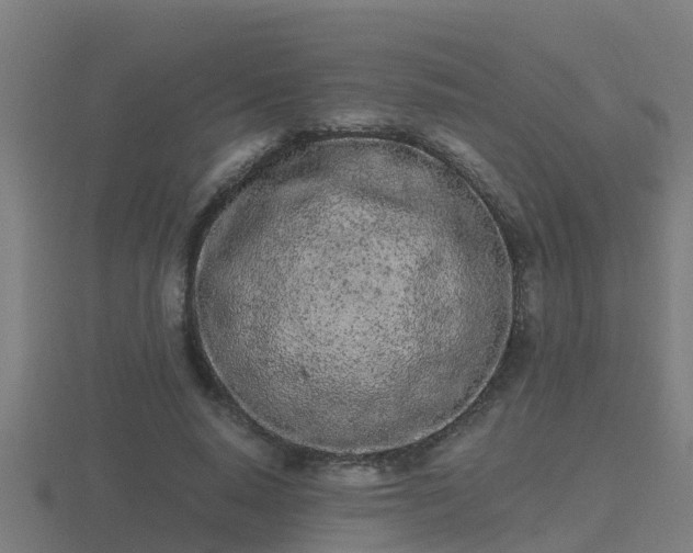 X0000116840640200912241229