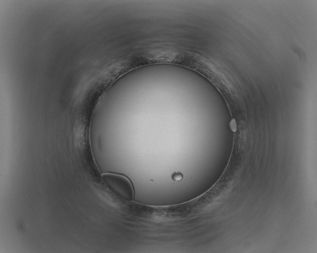 X0000116840641200912241229