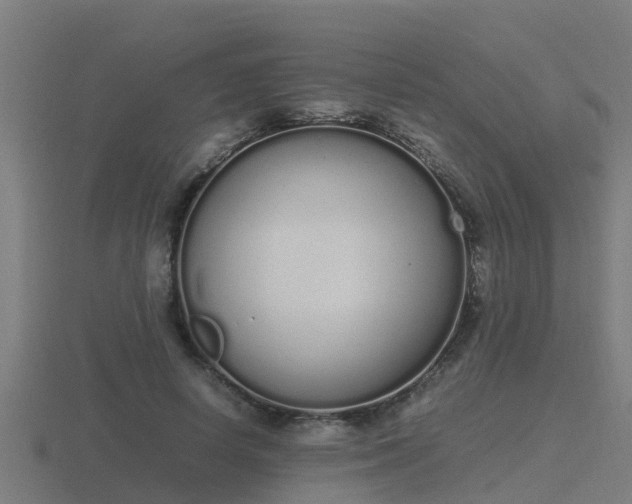 X0000116840642200912241229