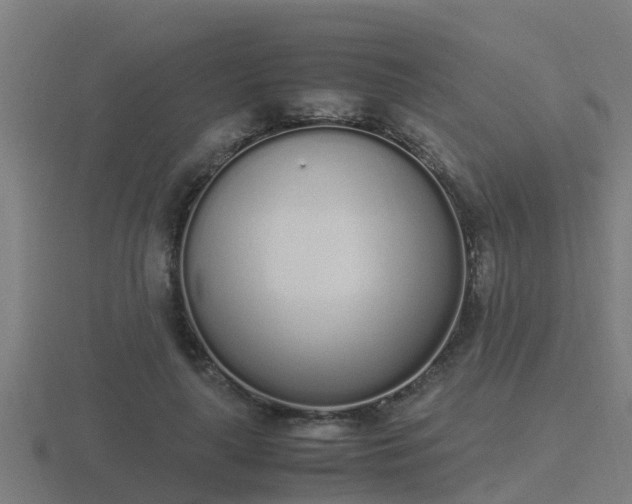 X0000116840643200912241229