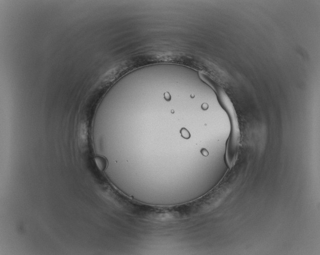 X0000116840646200912241229