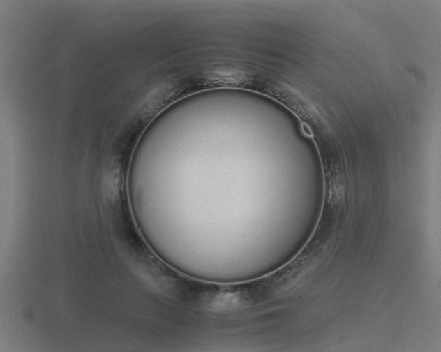 X0000116840647200912241229