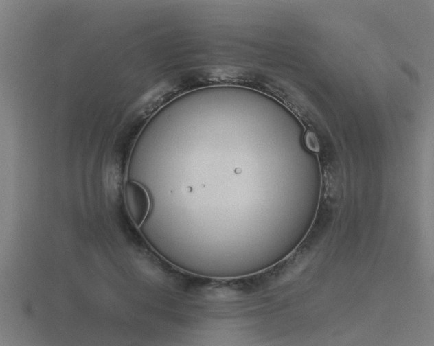 X0000116840648200912241229