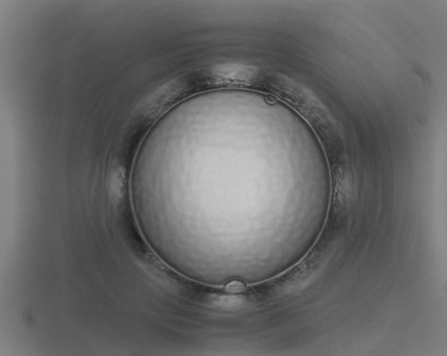 X0000116840649200912241229