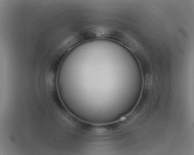 X0000116840650200912241229