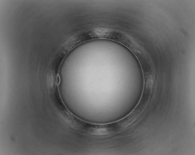 X0000116840651200912241229