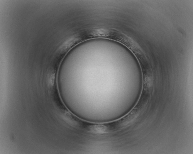 X0000116840652200912241229