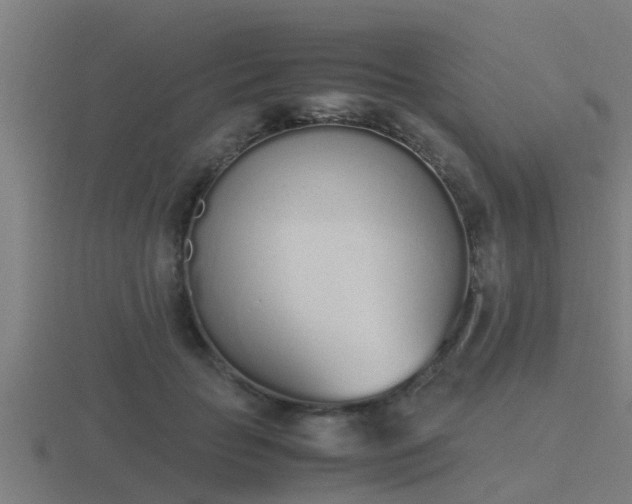 X0000116840653200912241229