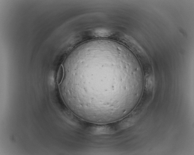 X0000116840655200912241229