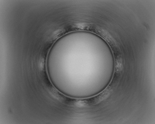 X0000116840656200912241229