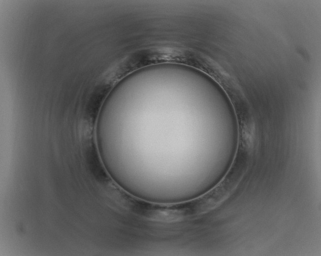 X0000116840657200912241229