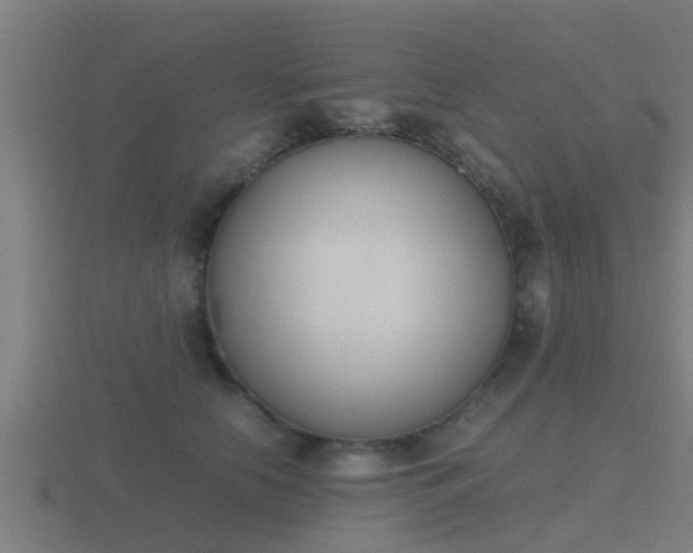 X0000116840658200912241229