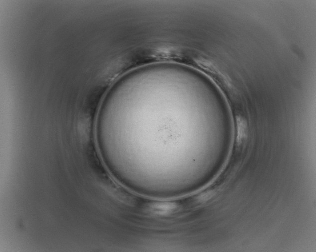 X0000116840659200912241229