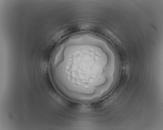 X0000116840660200912241229