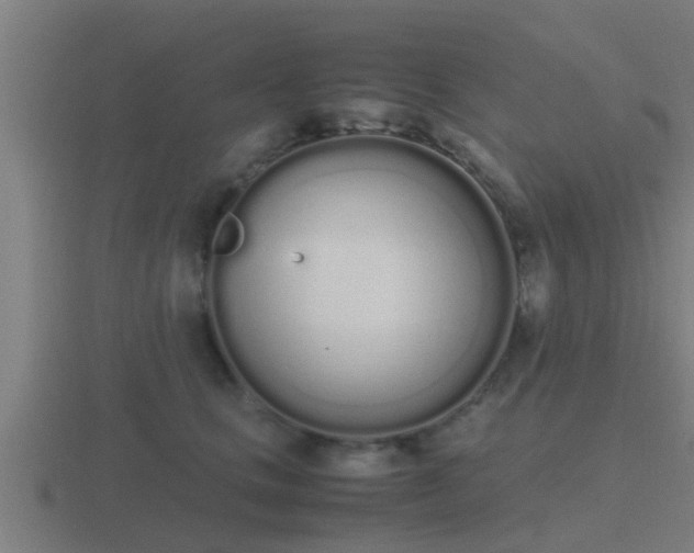 X0000116840661200912241229