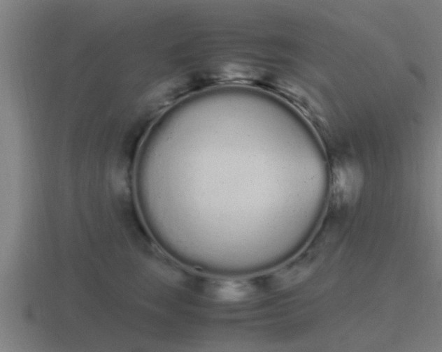 X0000116840663200912241229