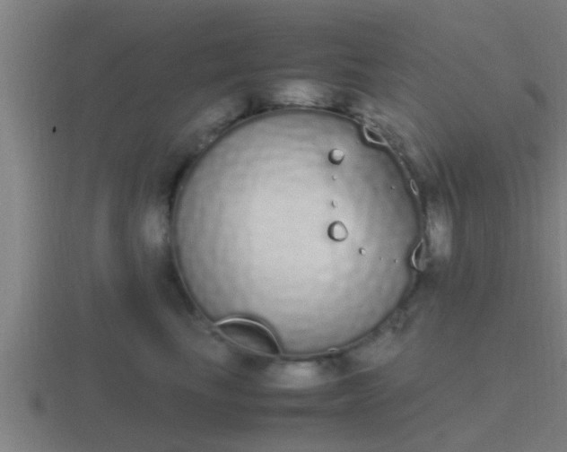 X0000116840665200912241229