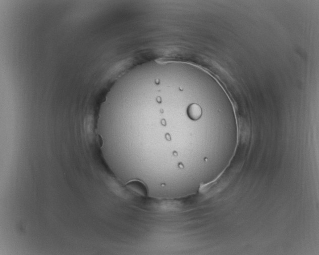 X0000116840670200912241229