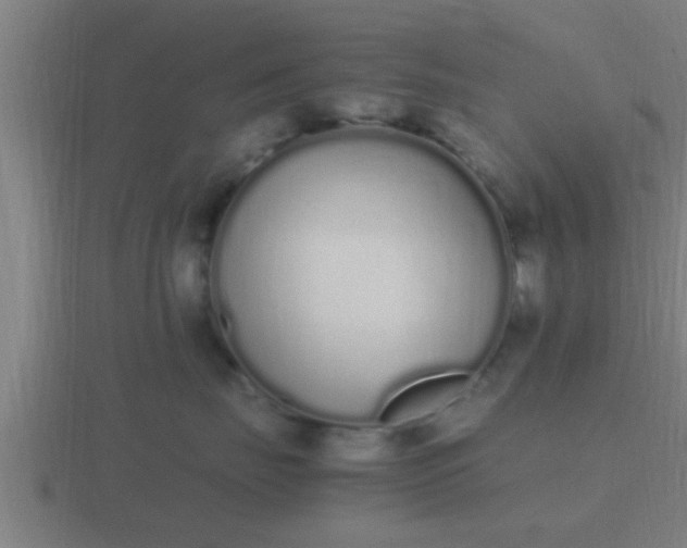 X0000116840671200912241229