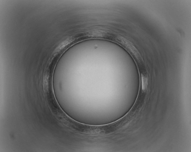 X0000116840675200912241229