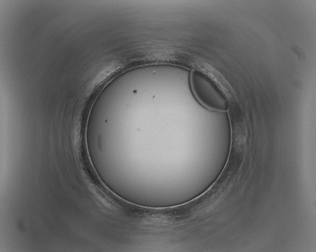 X0000116840677200912241229