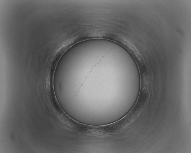 X0000116840681200912241229