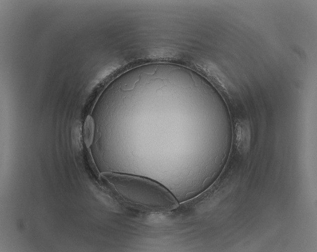 X0000116840684200912241229