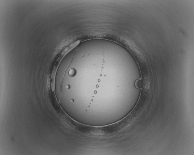 X0000116840685200912241229