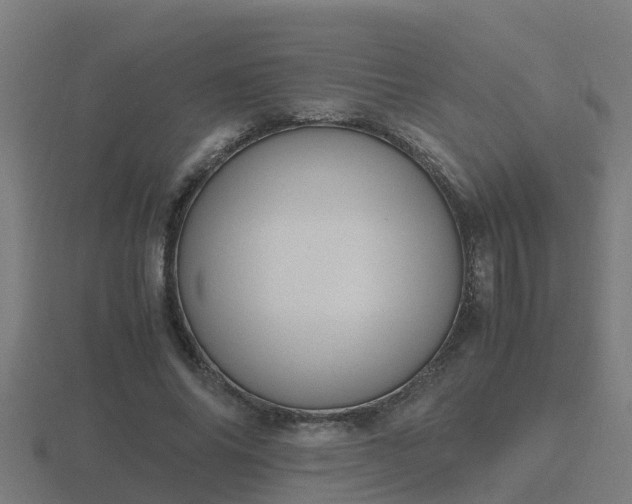 X0000116840686200912241229