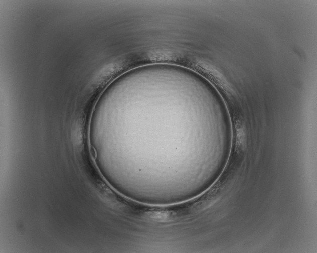 X0000116840687200912241229