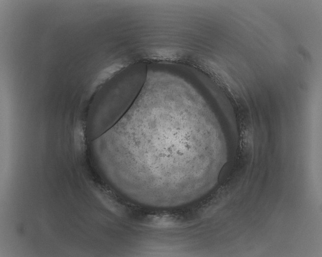 X0000116840688200912241229