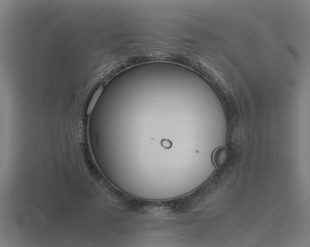 X0000116840689200912241229